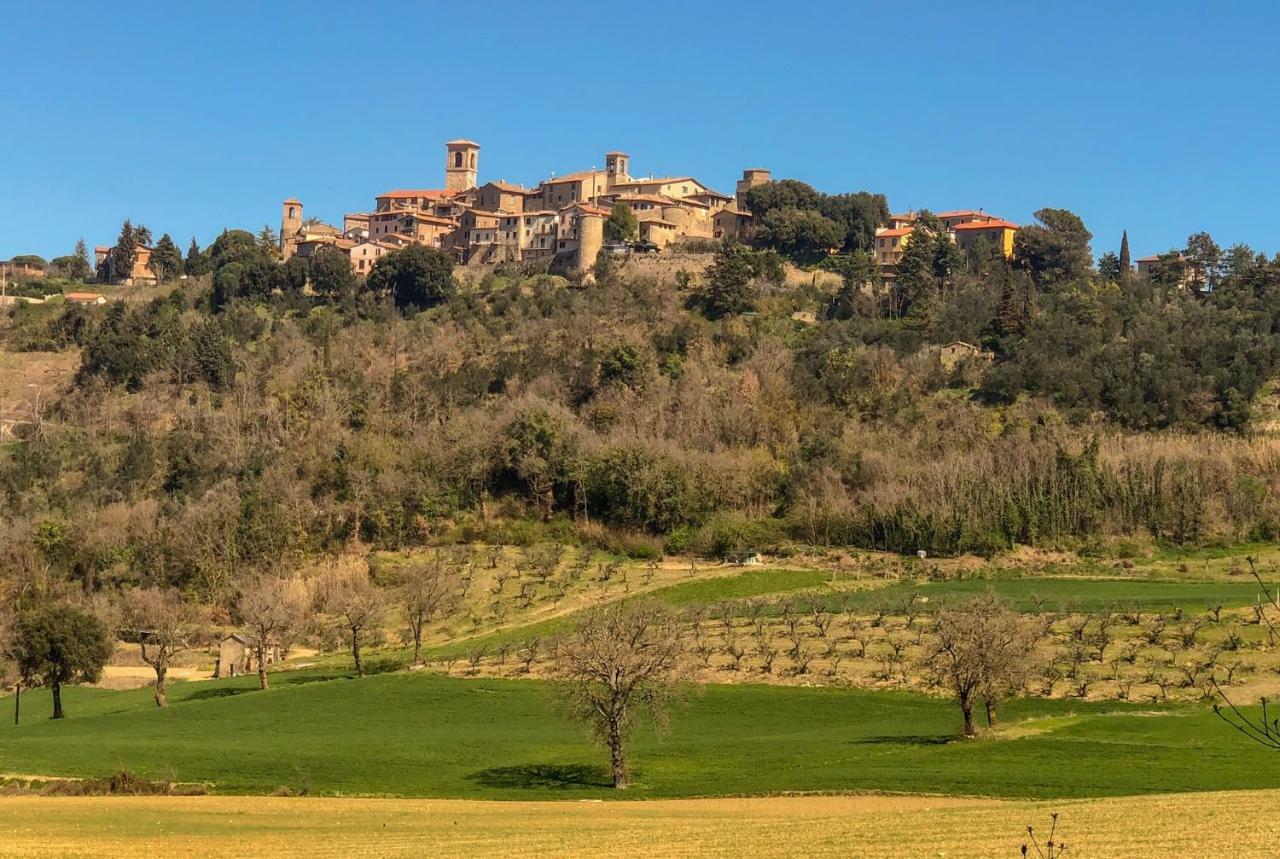 شقة Umbria, "Casa Sagrantina" Con Piscina E Pergolato Collazzone المظهر الخارجي الصورة